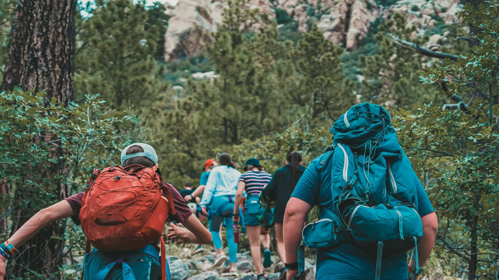 ثلاثة من المتنزهين، يرتدون حقائب ظهر ملونة، يسافرون عبر غابة مورقة في يوم مشمس.
